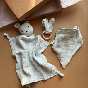 Baby Gift Box- Dou Dou Bimbo