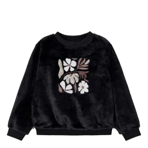 Mayoral fepa bambina